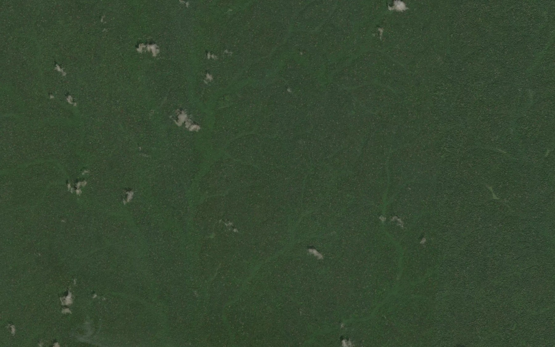 Satellite map of the Odieka