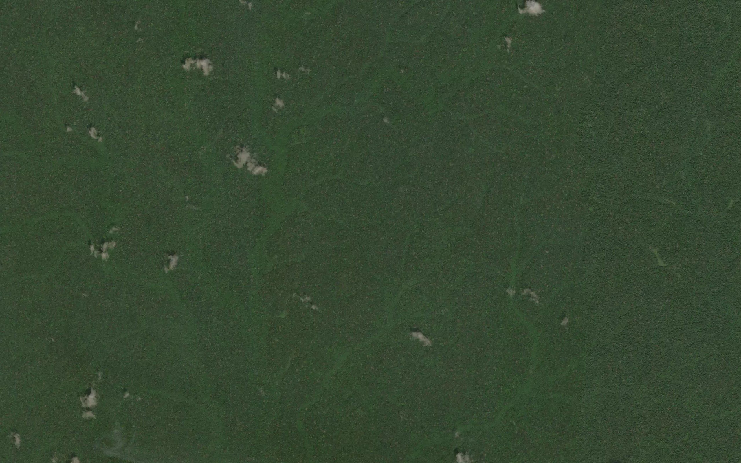 Odieka