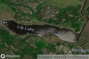 Lily Lake