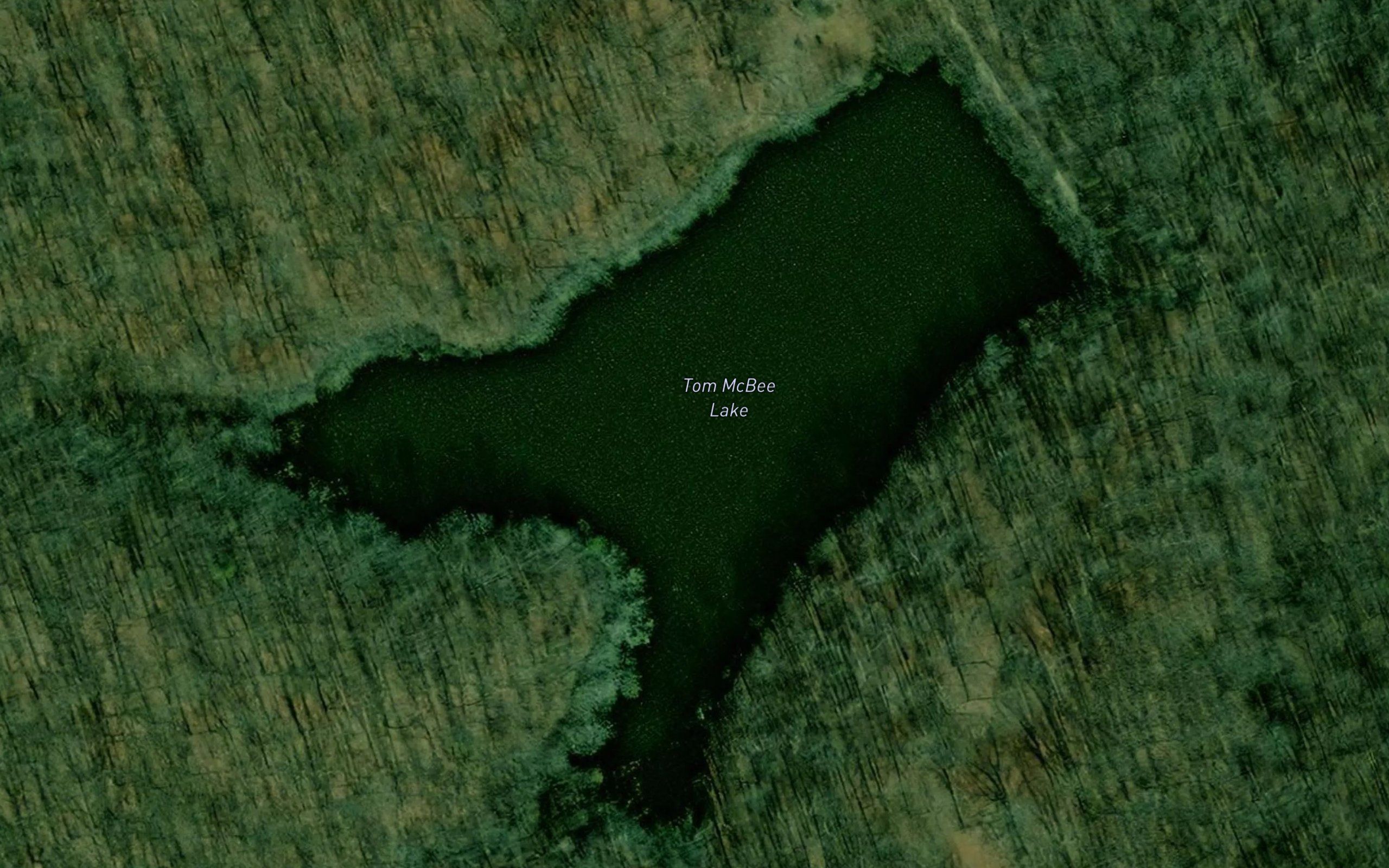 Tom McBee Lake