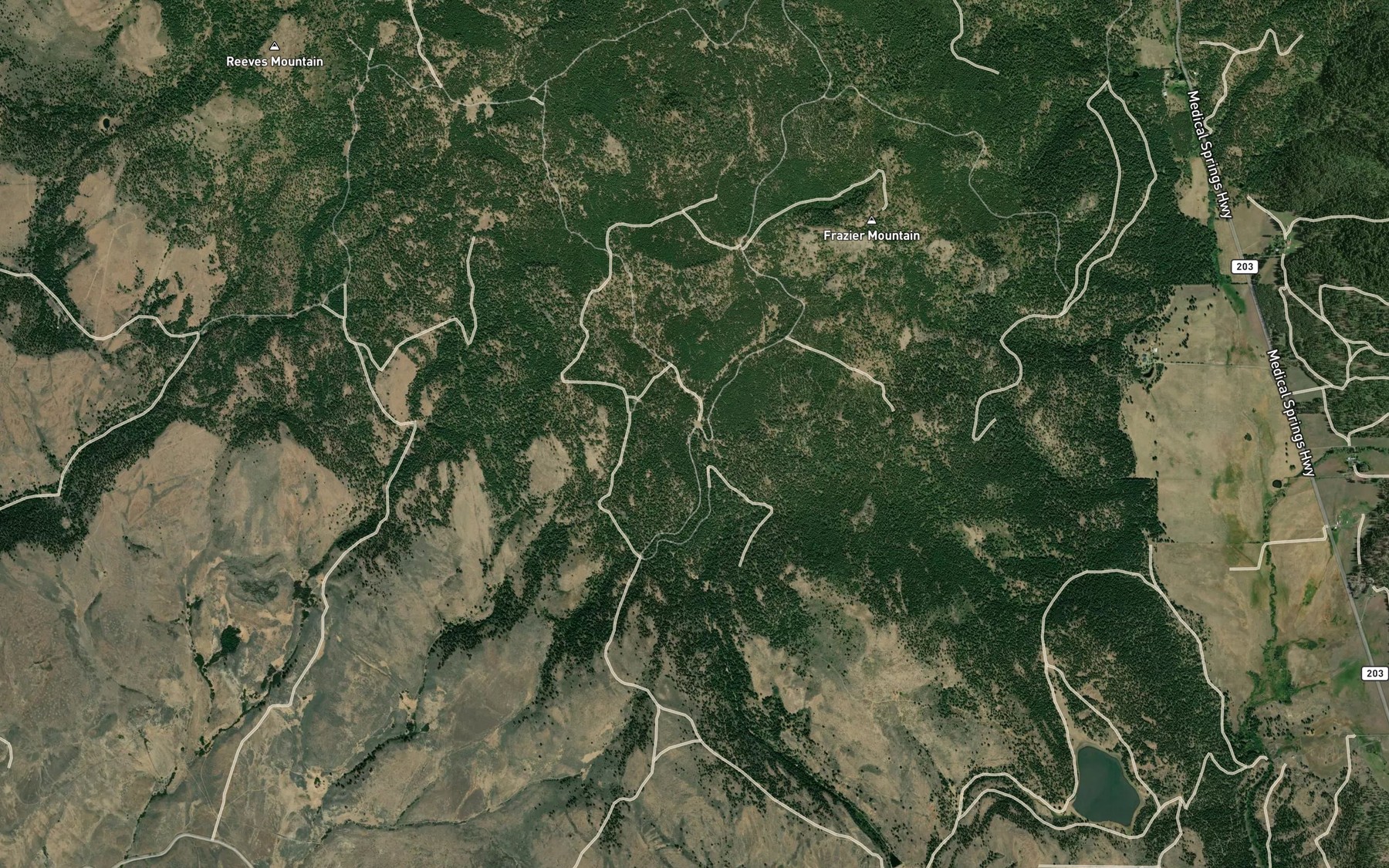 Satellite map of the Thorn Spring