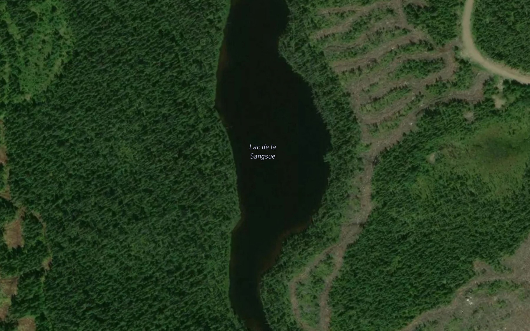 Satellite map of the Lac de la Sangsue
