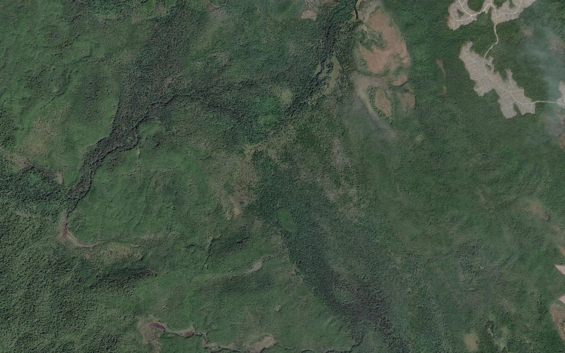 Satellite map of the Survey Creek