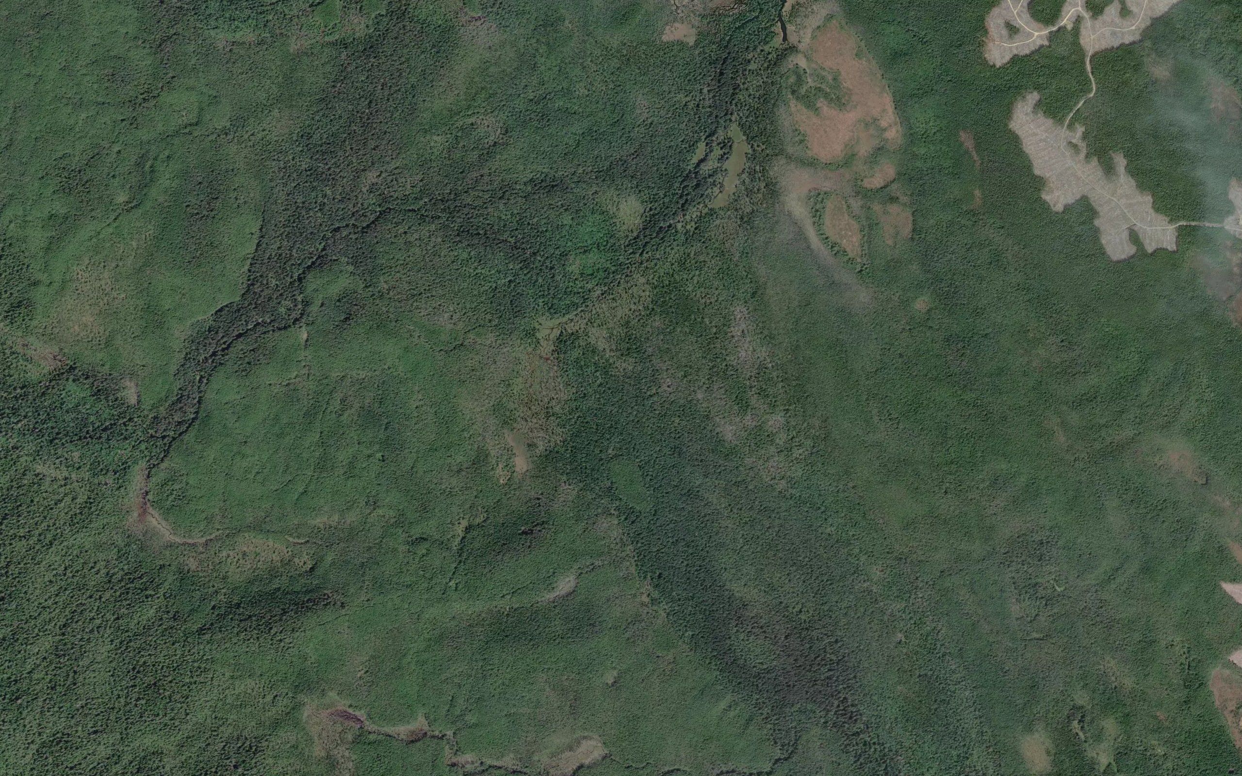 Survey Creek