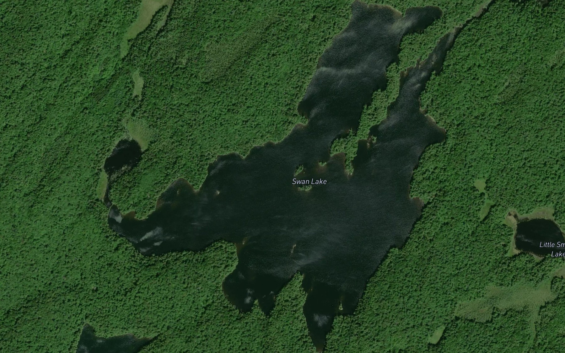 Satellite map of the Swan Lake