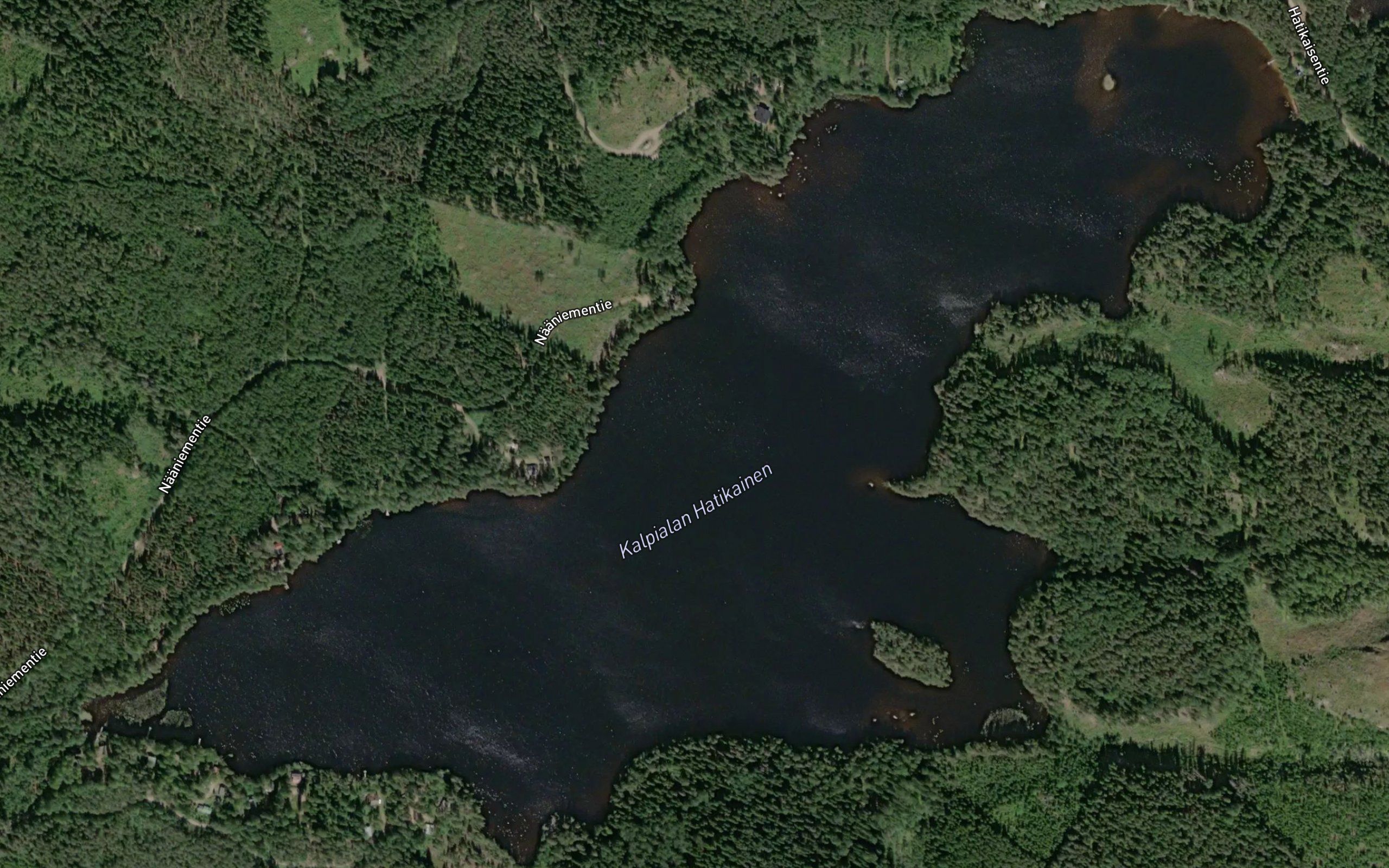 Kalpialan Hatikainen