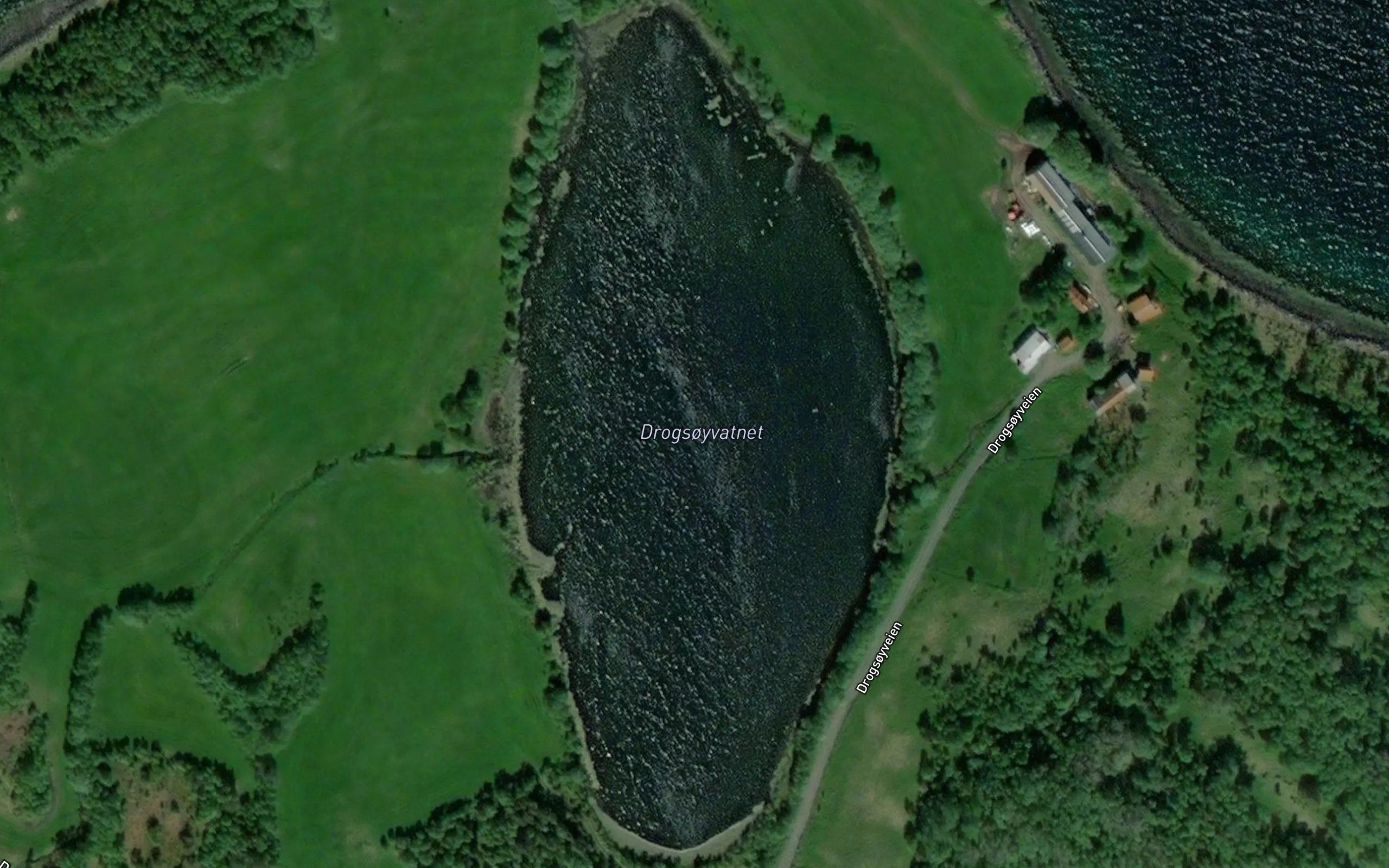 Drogsoyvatnet