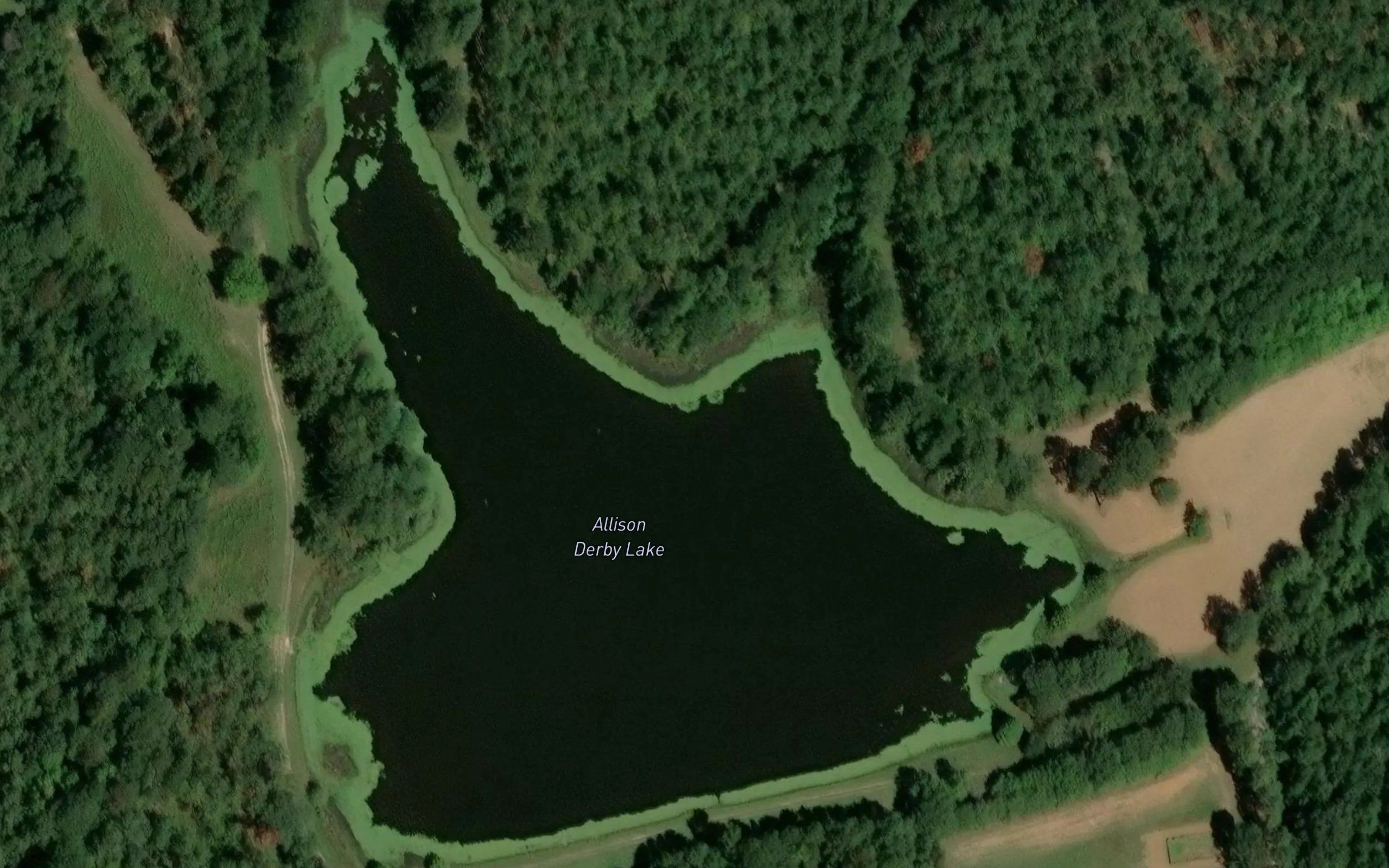 Allison Derby Lake