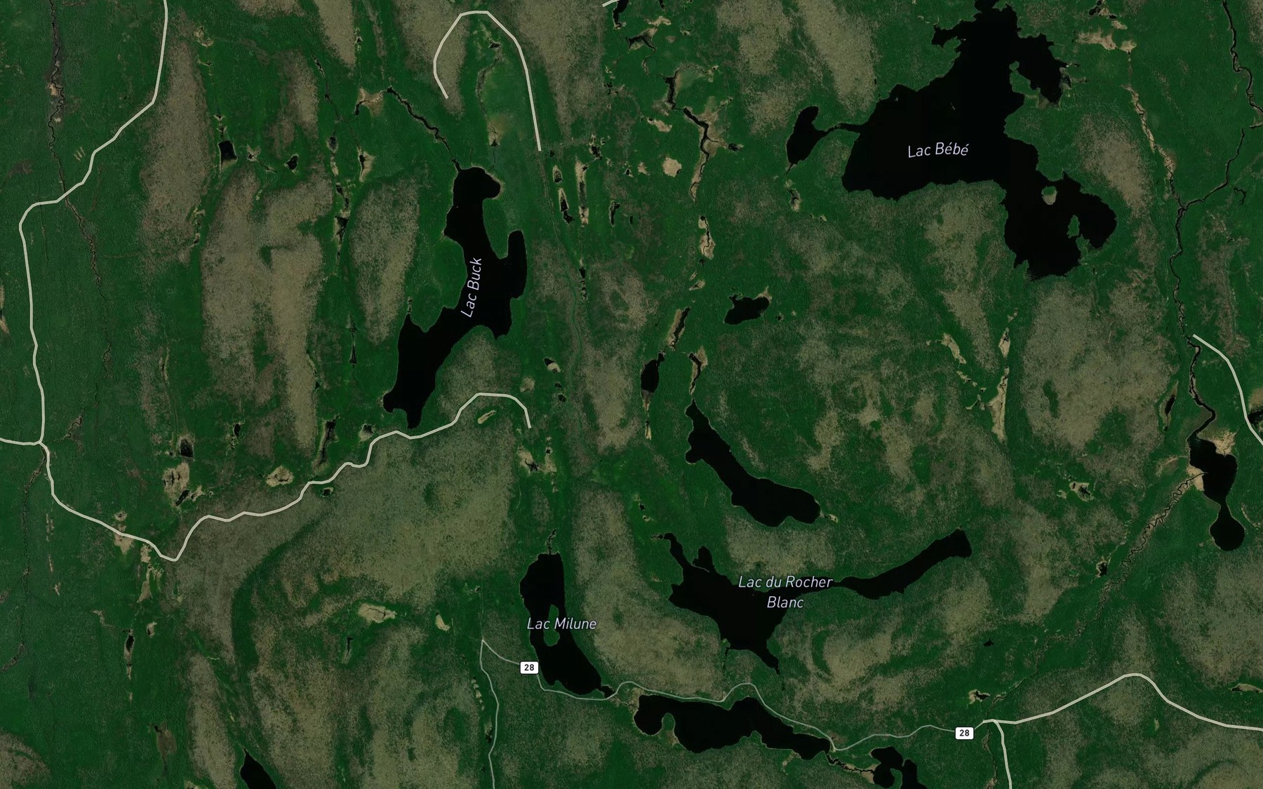 Satellite map of the Lac Salon
