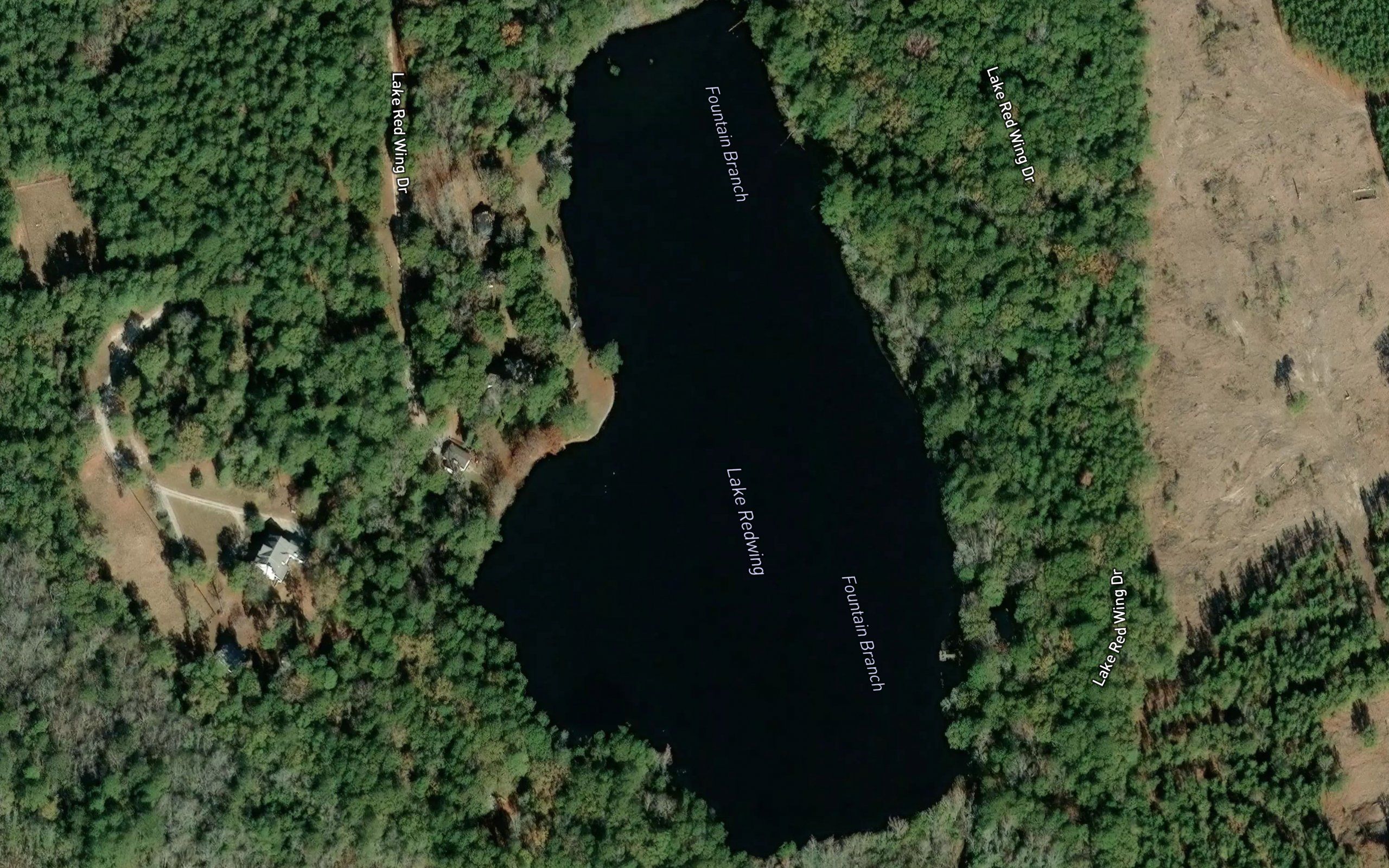 Lake Redwing