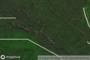 South Branch Birch River