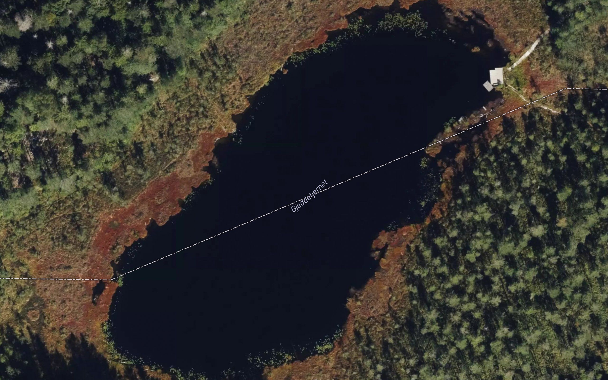 Gjeddetjernet