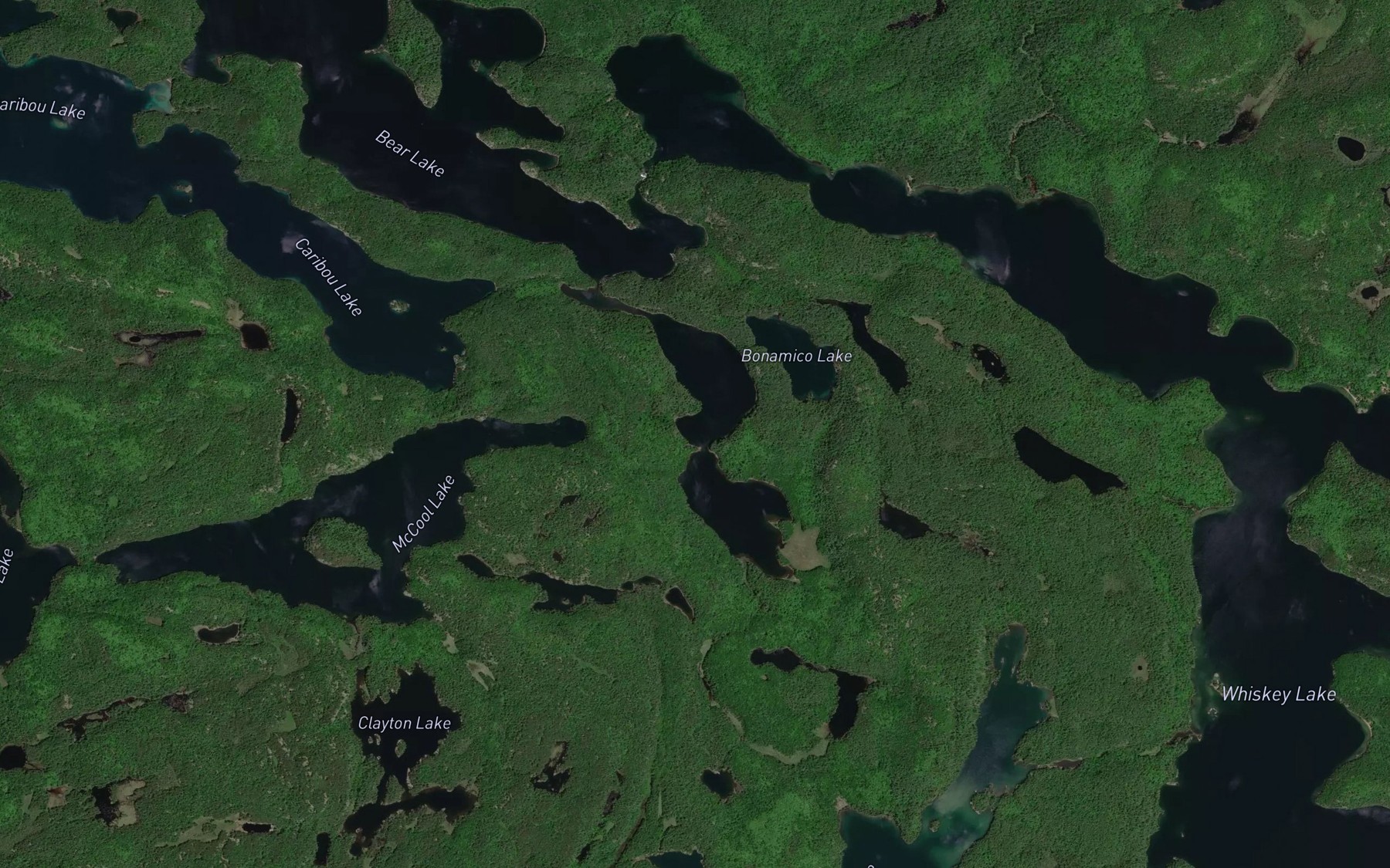 Satellite map of the Arm of the Bear