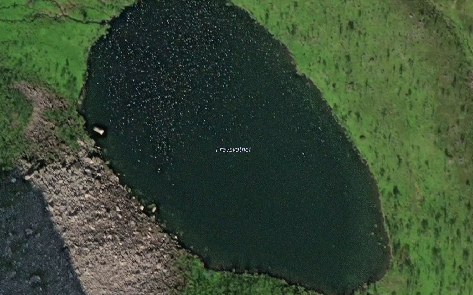 Satellite map of the Froysvatnet