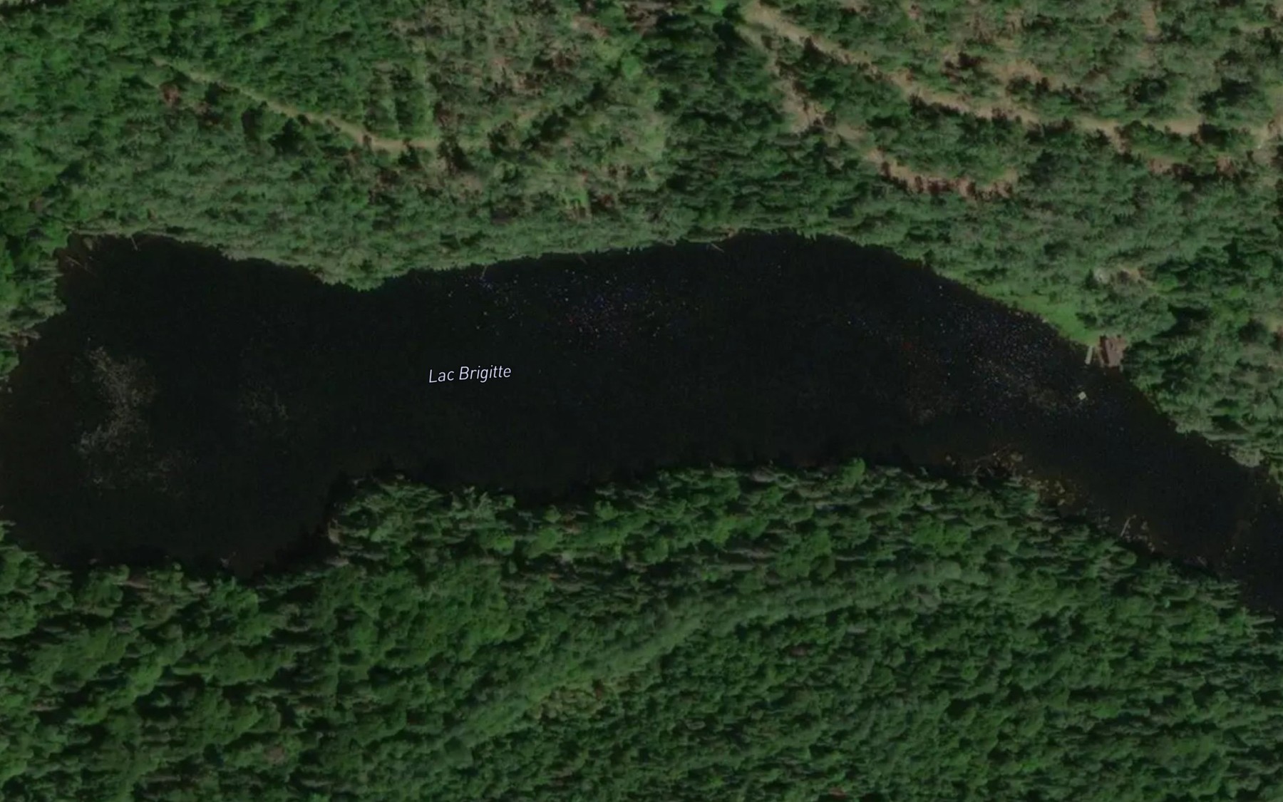 Satellite map of the Lac Brigitte