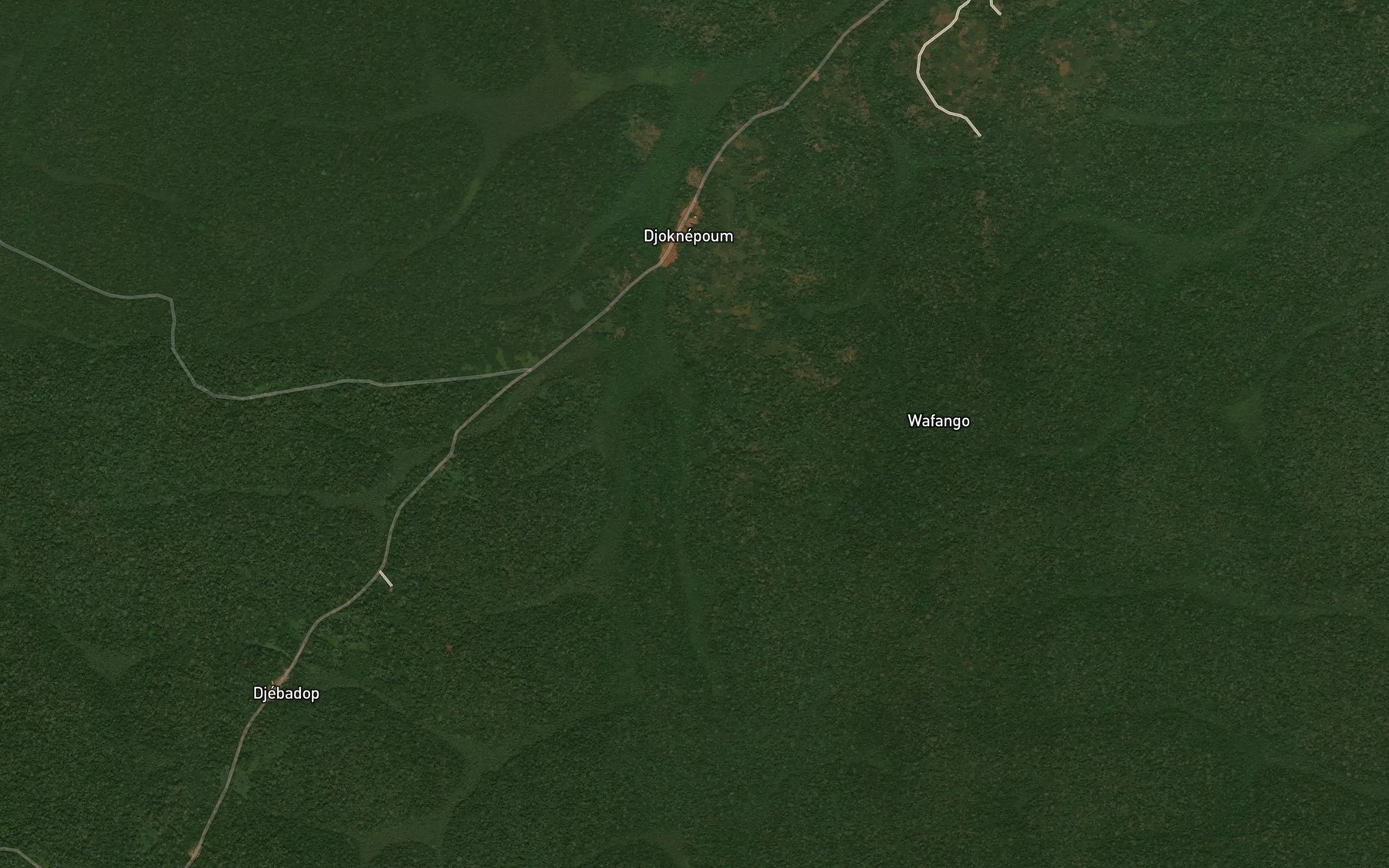 Satellite map of the Kwekwem