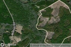 Alligator Creek