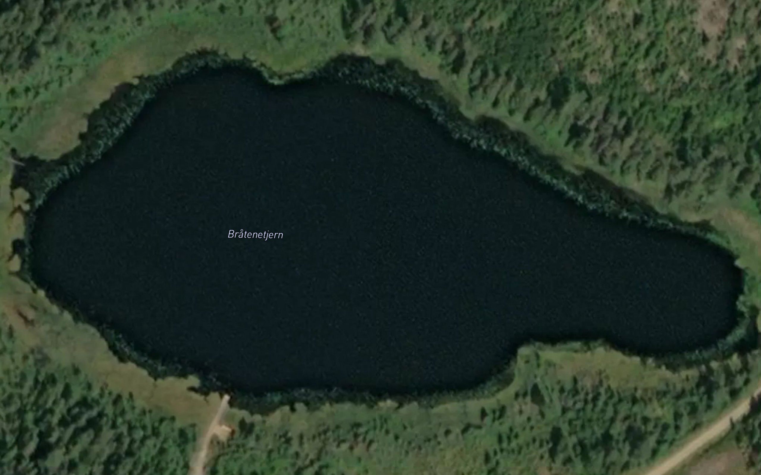 Bratenetjern