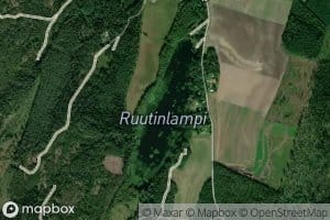 Ruutinlampi