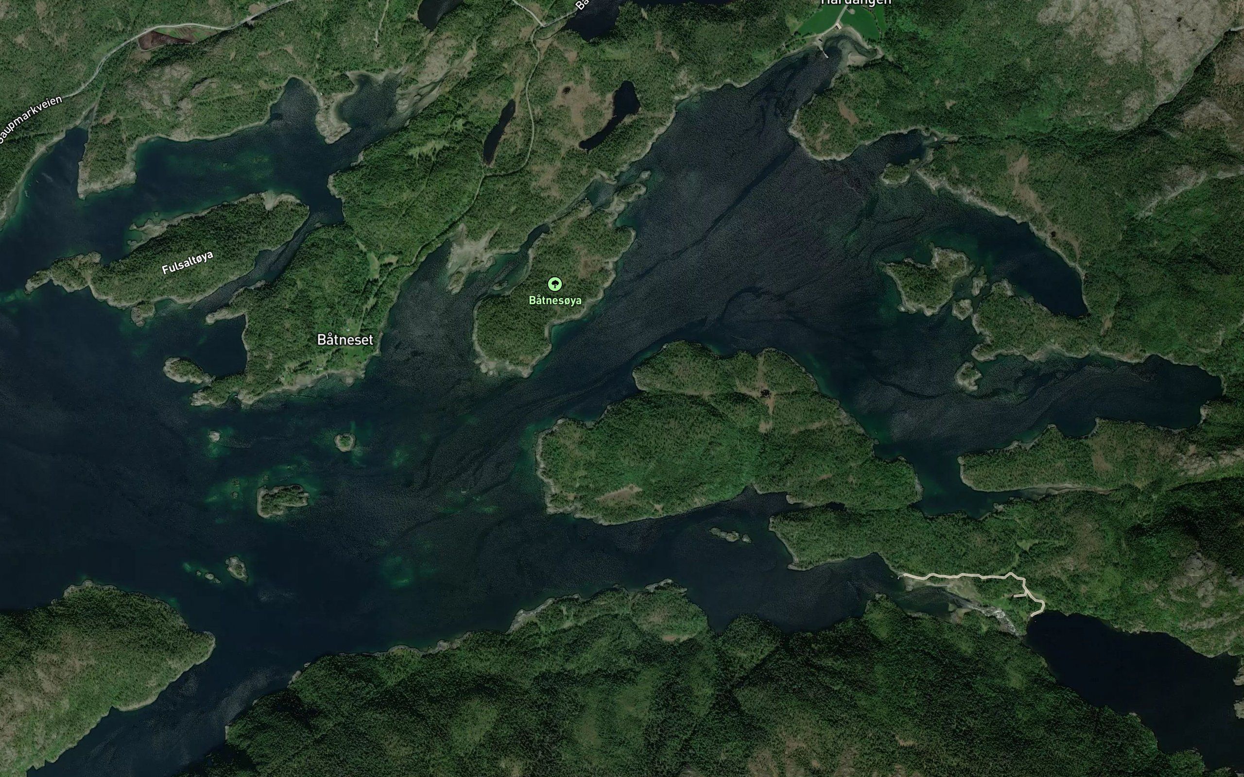 Svalgrasvika