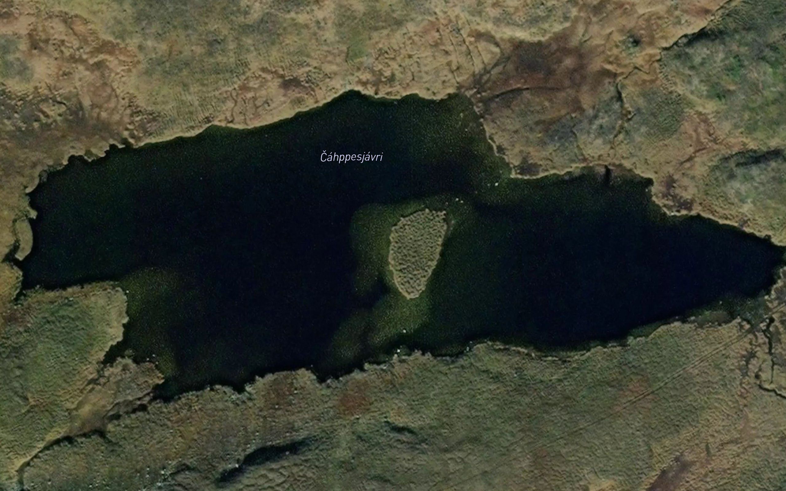 Coppesjavri