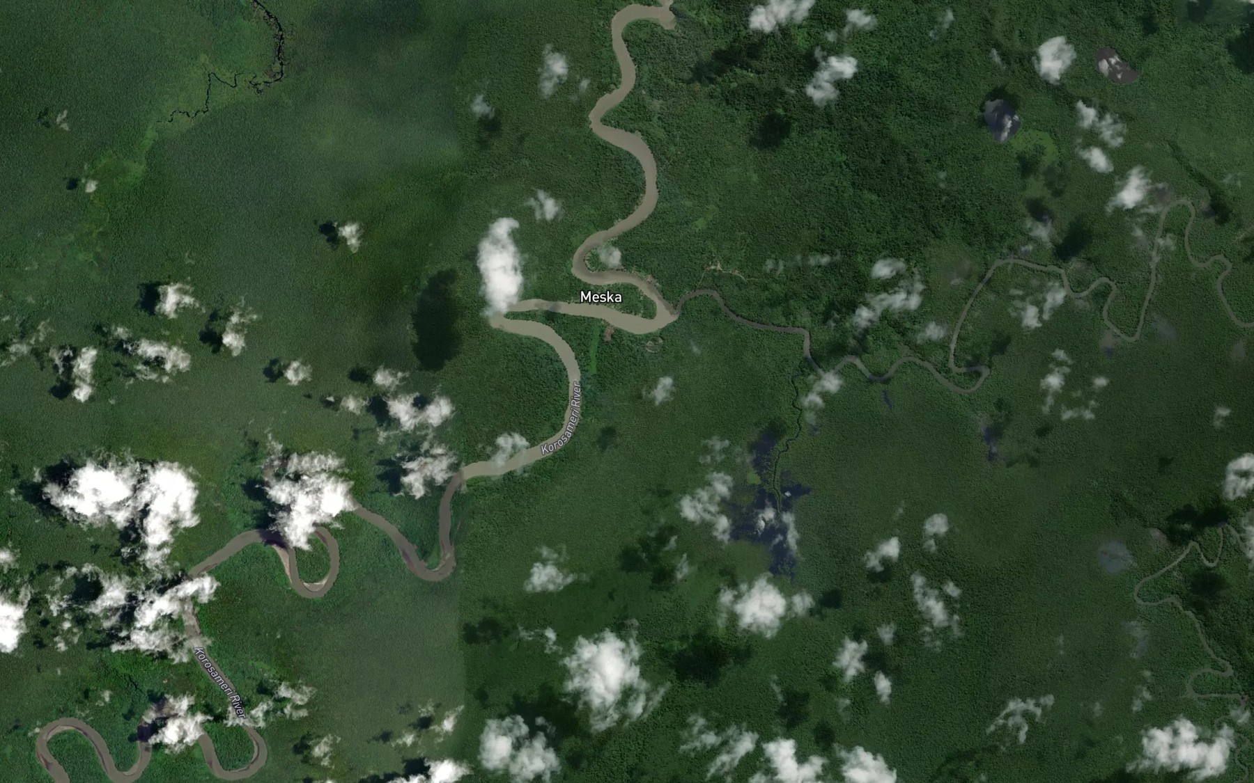 Satellite map of the Weisas River