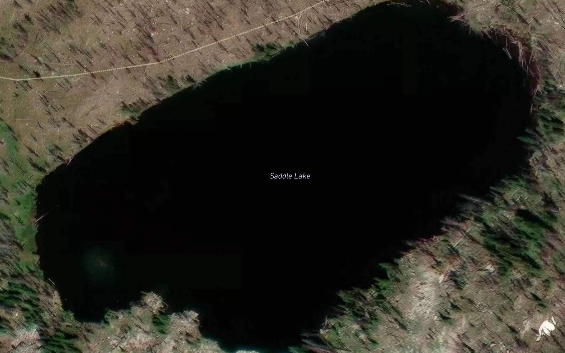 Satellite map of the Saddle Lake