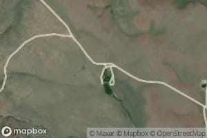 Bone Spring