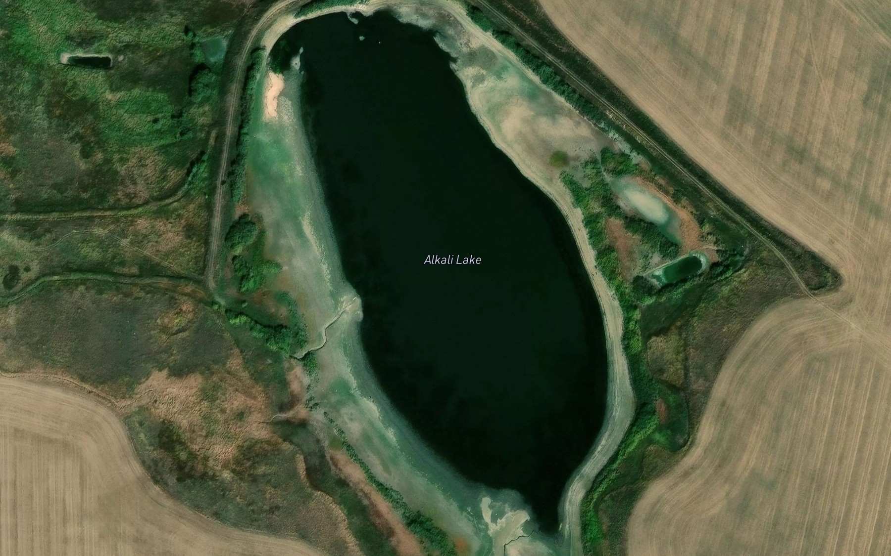 Satellite map of the Alkali Lake