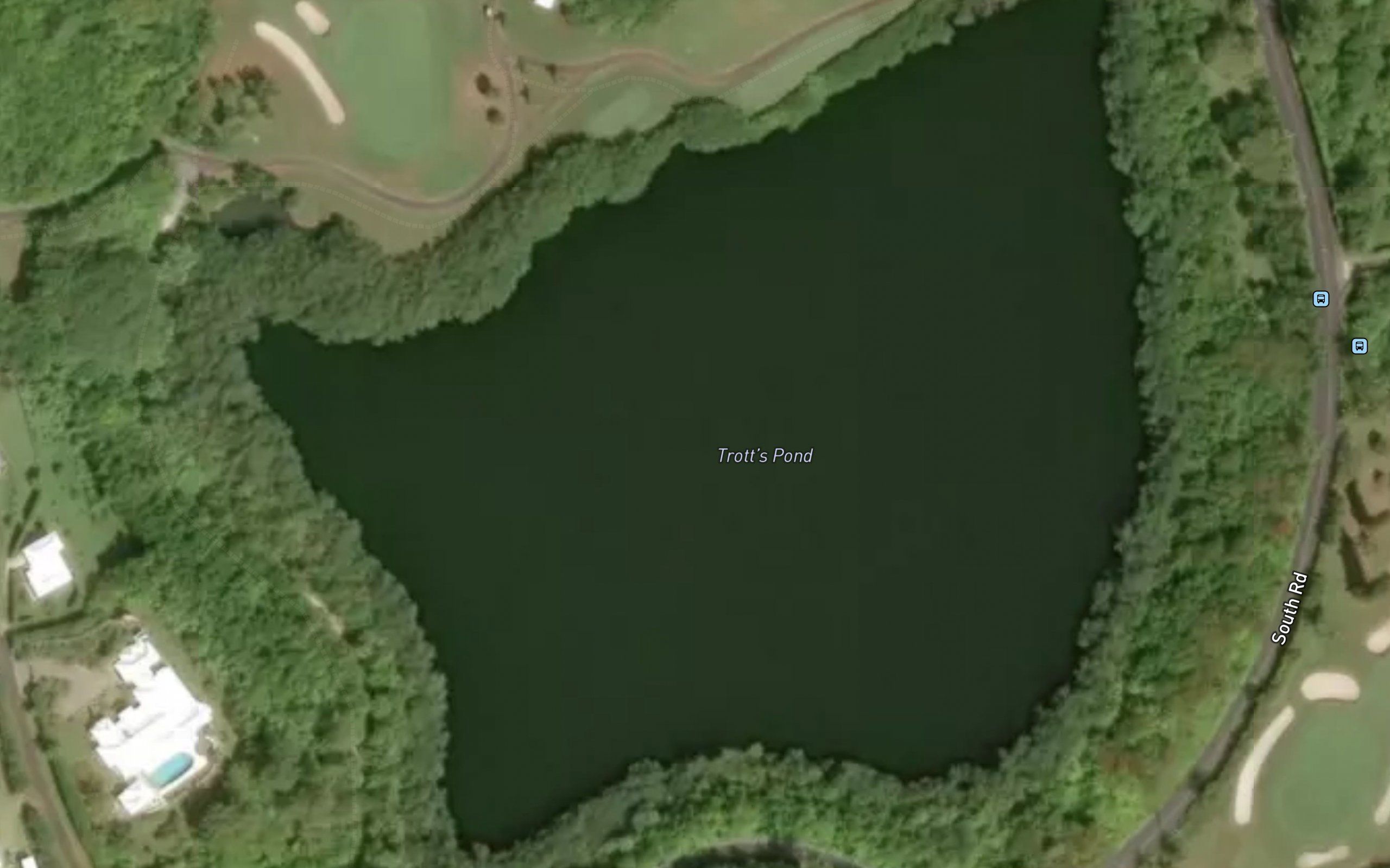 Trott's Pond