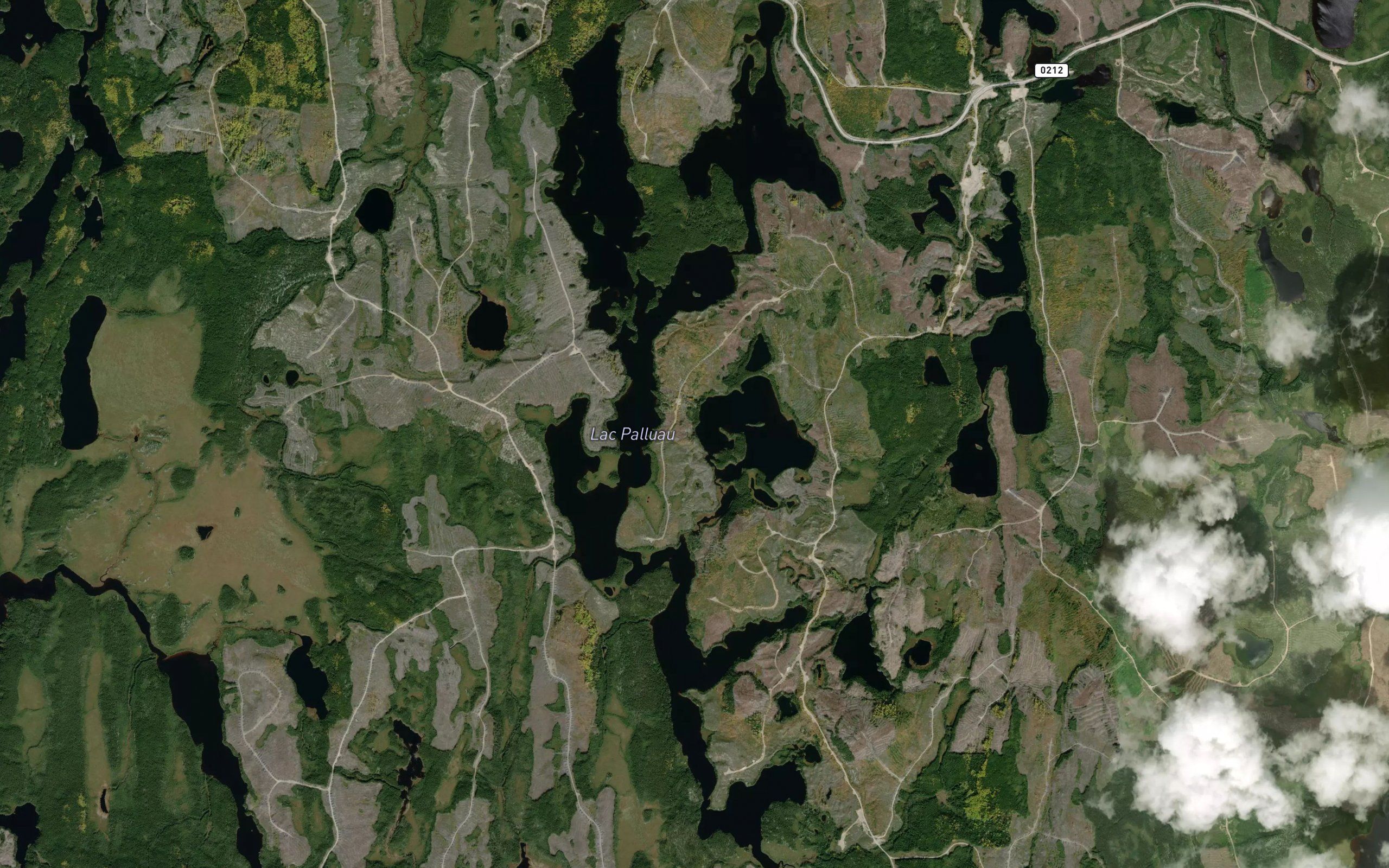 Lac Palluau