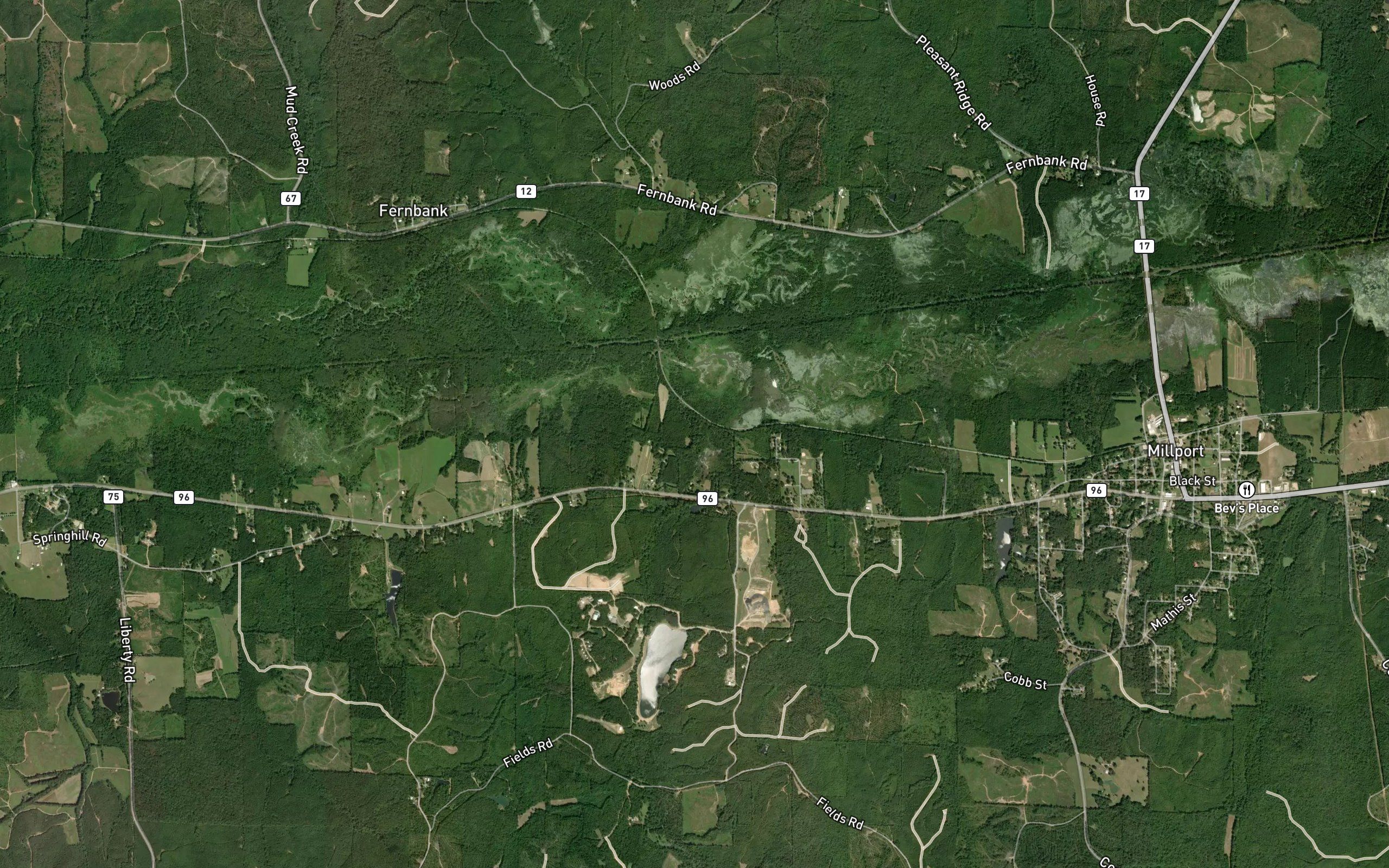 Shelton Branch