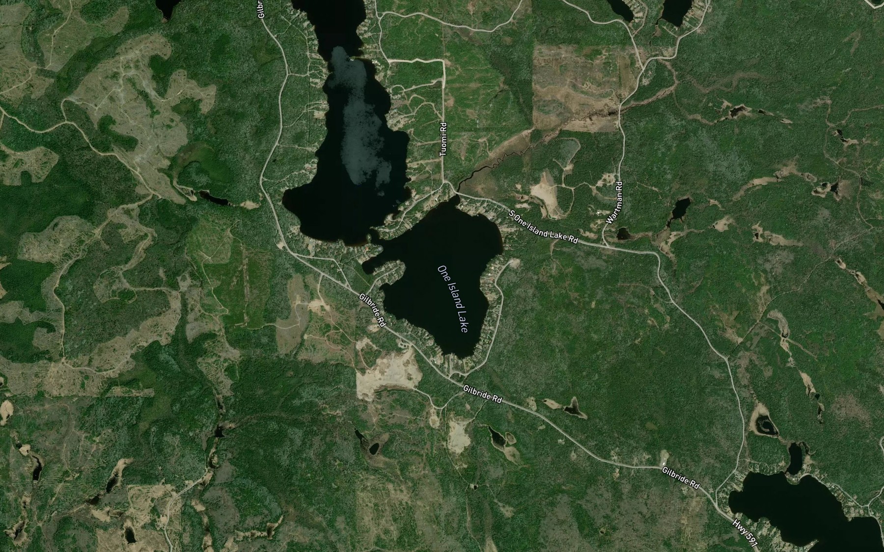 Satellite map of the One Island Lake