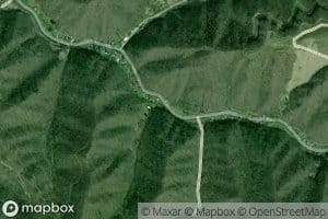 Spruce Pine Branch