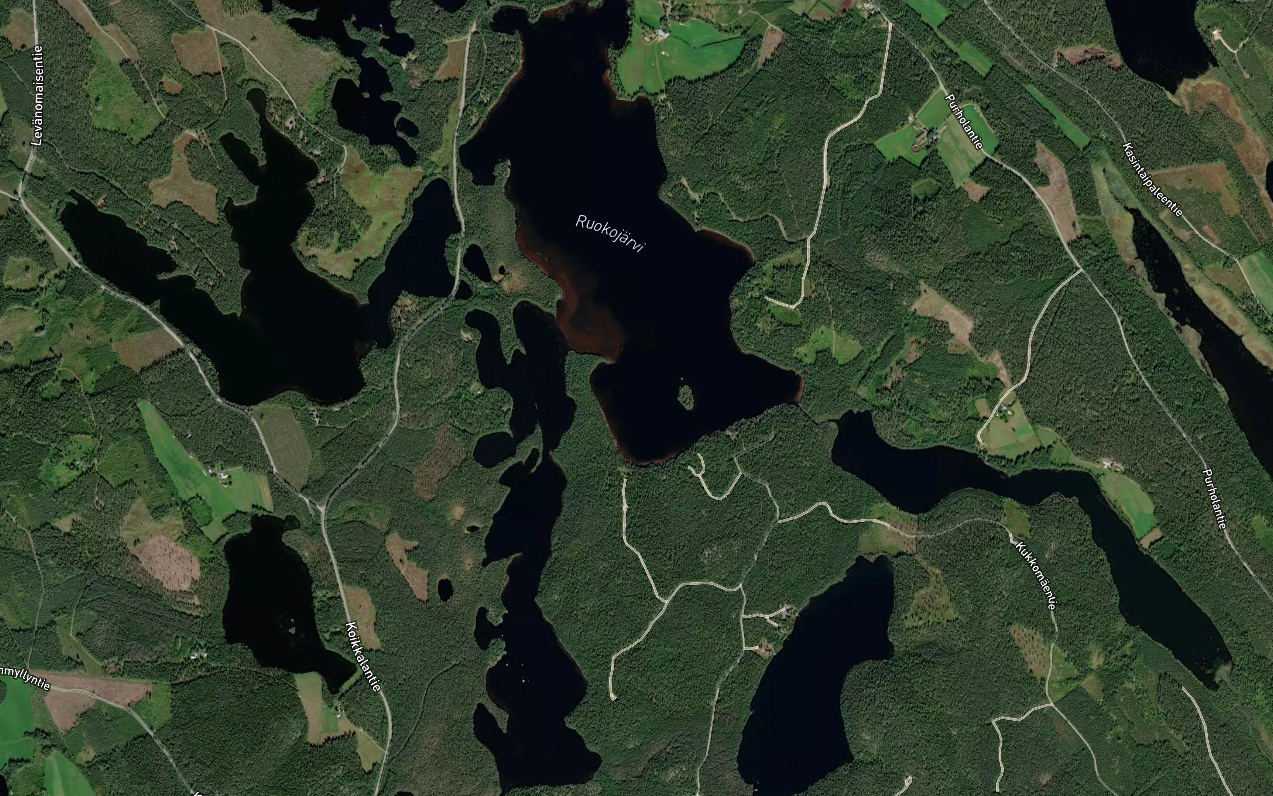 Ruokojarvi