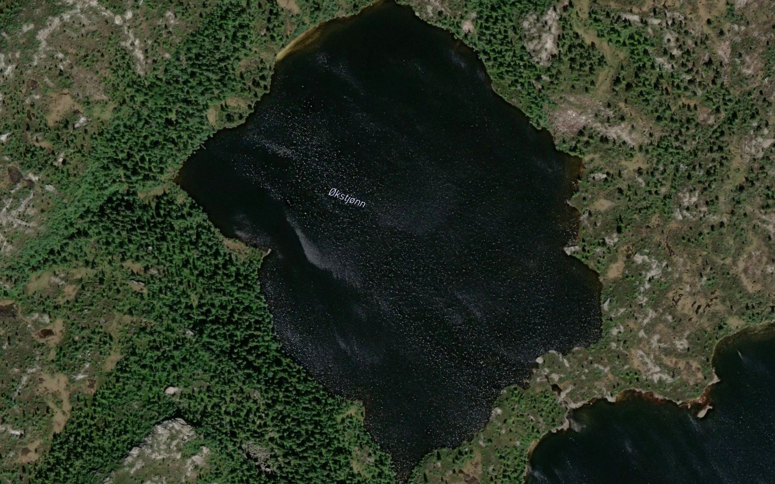 Okstjorni