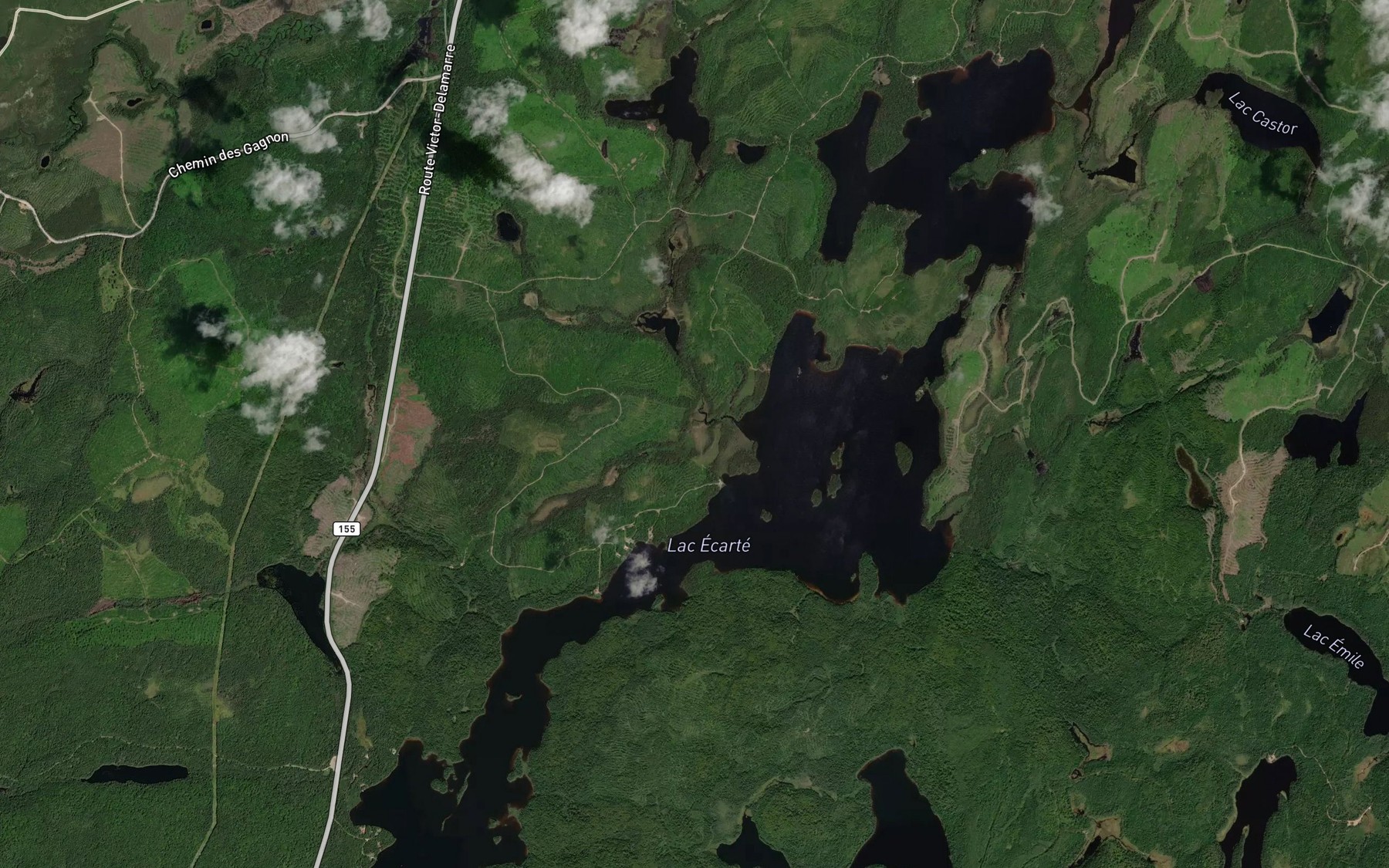 Satellite map of the Petit lac Ecarte