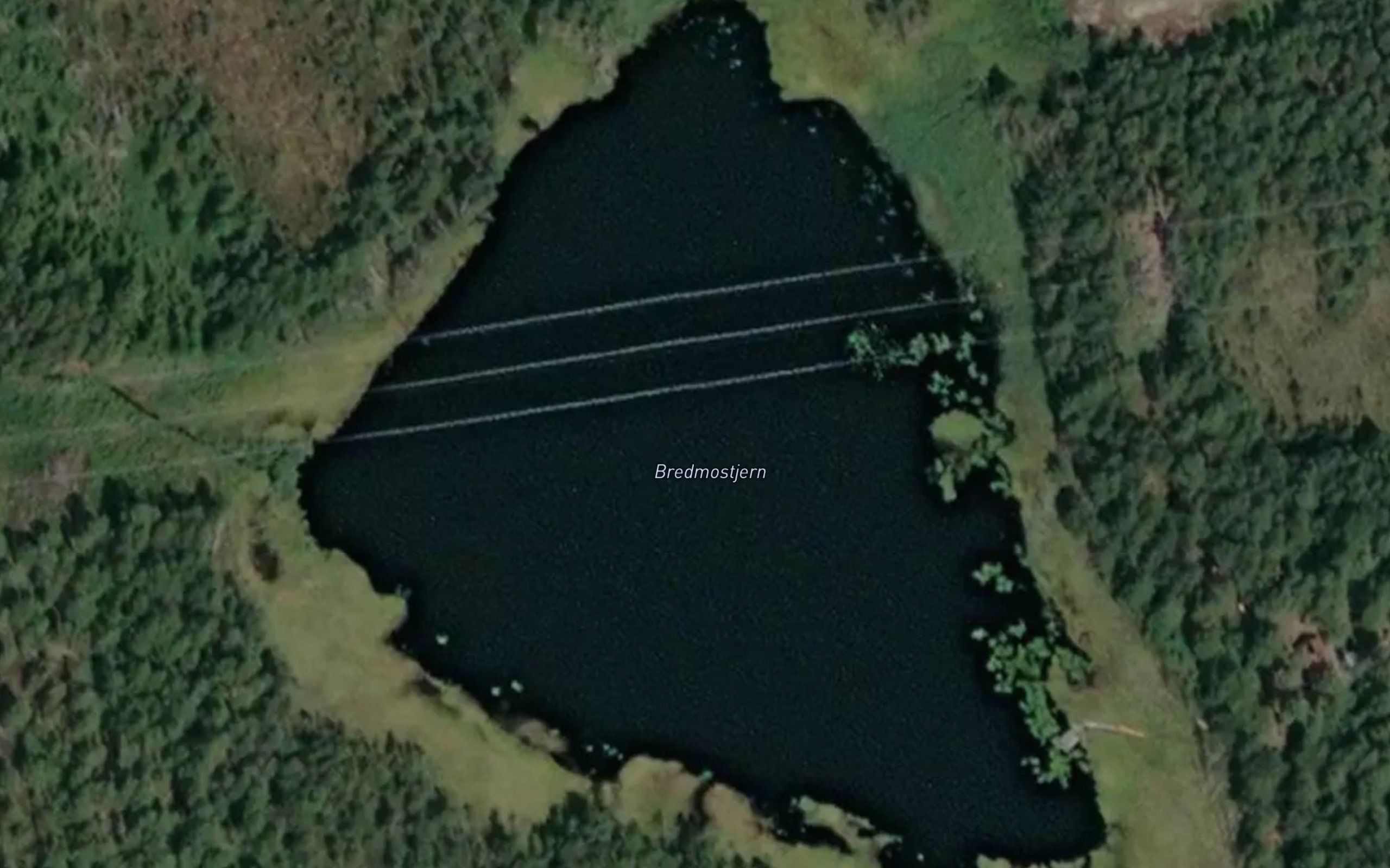 Breidmosetjernet
