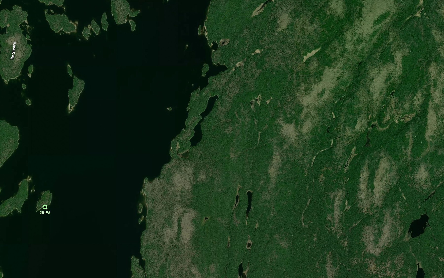 Satellite map of the Lac Gibelet