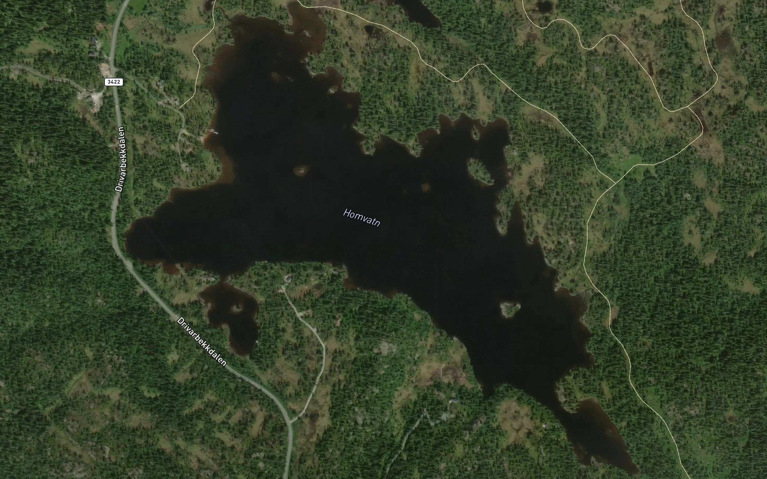 Homvatn