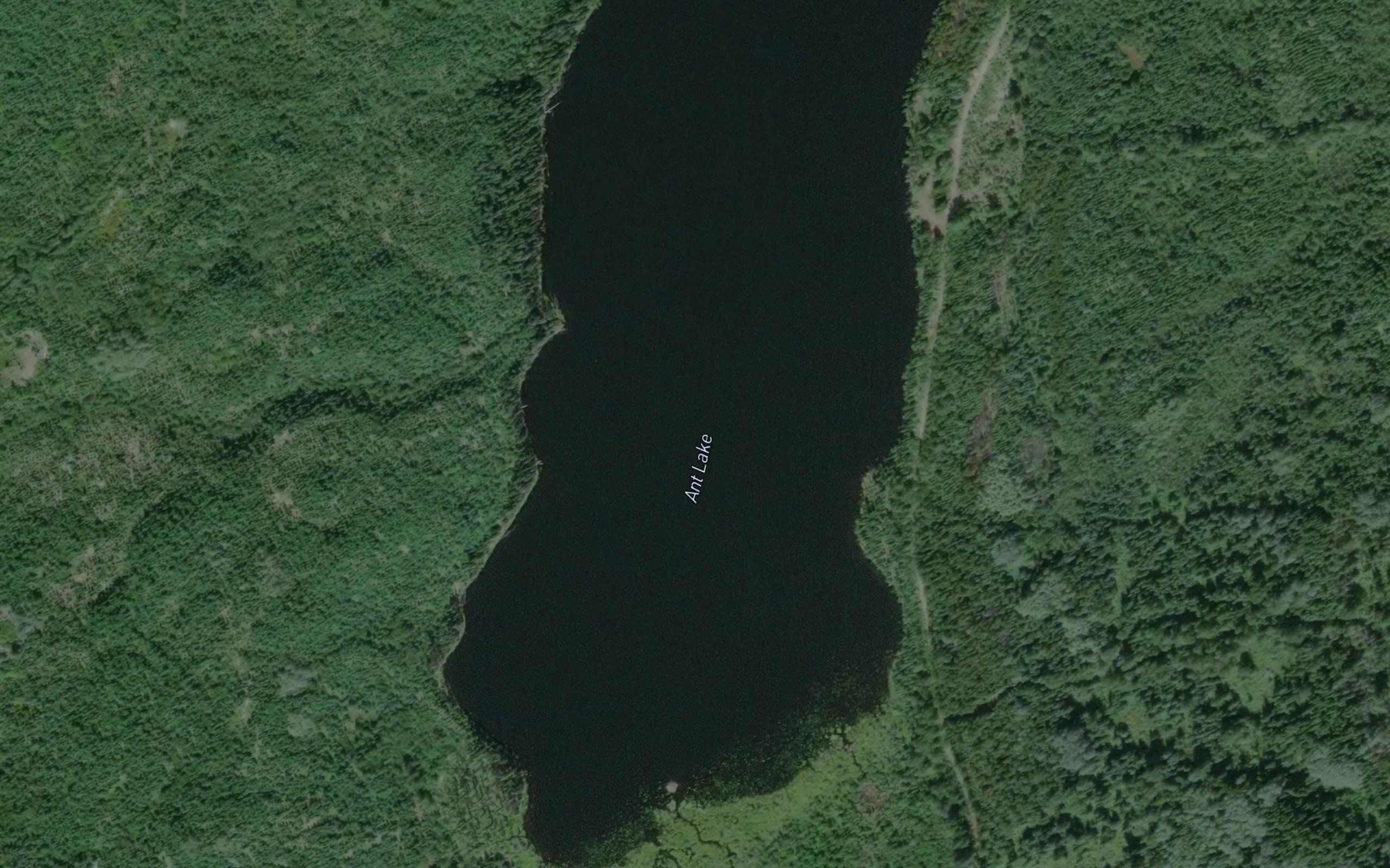 Ant Lake