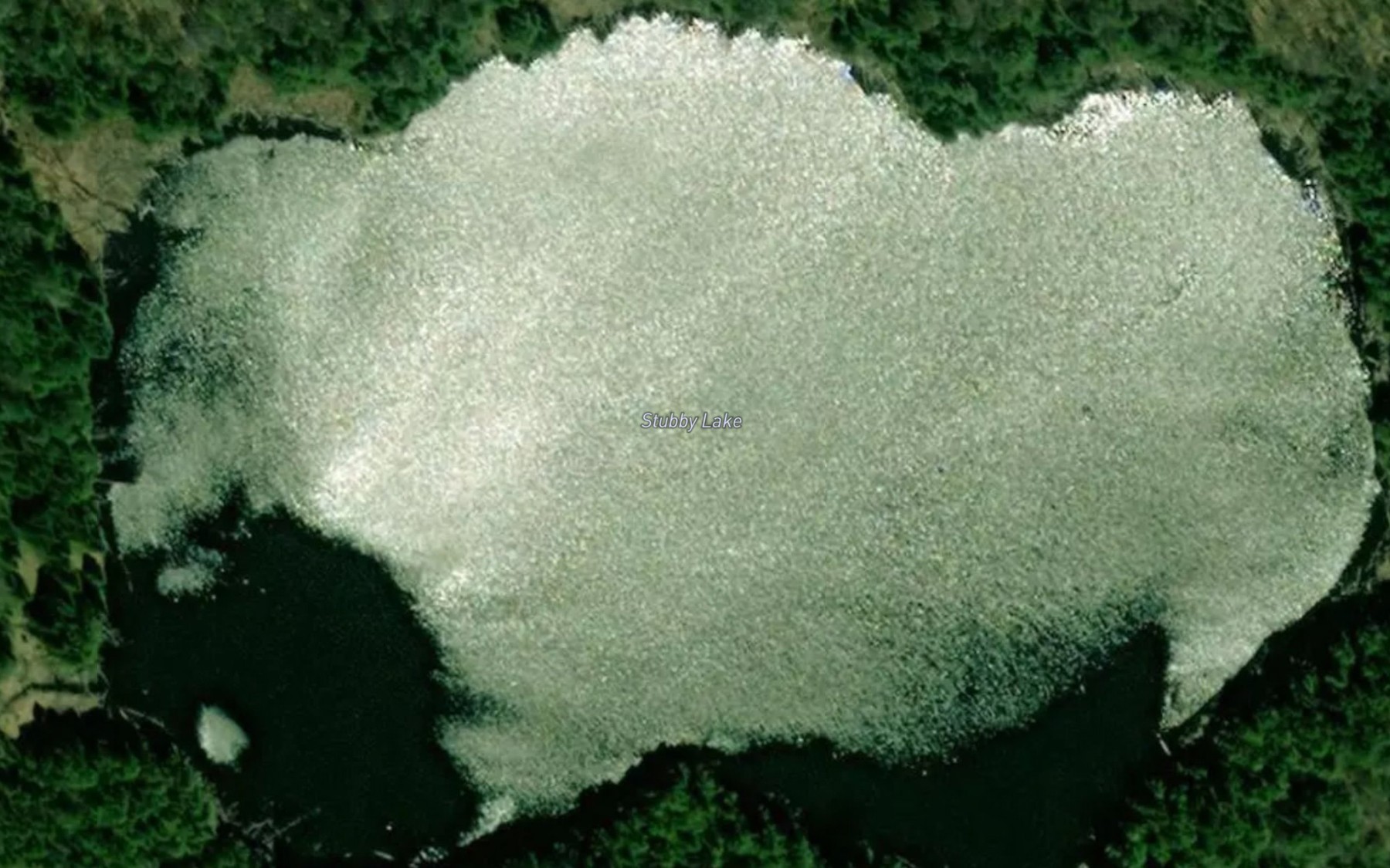 Satellite map of the Stubby Lake