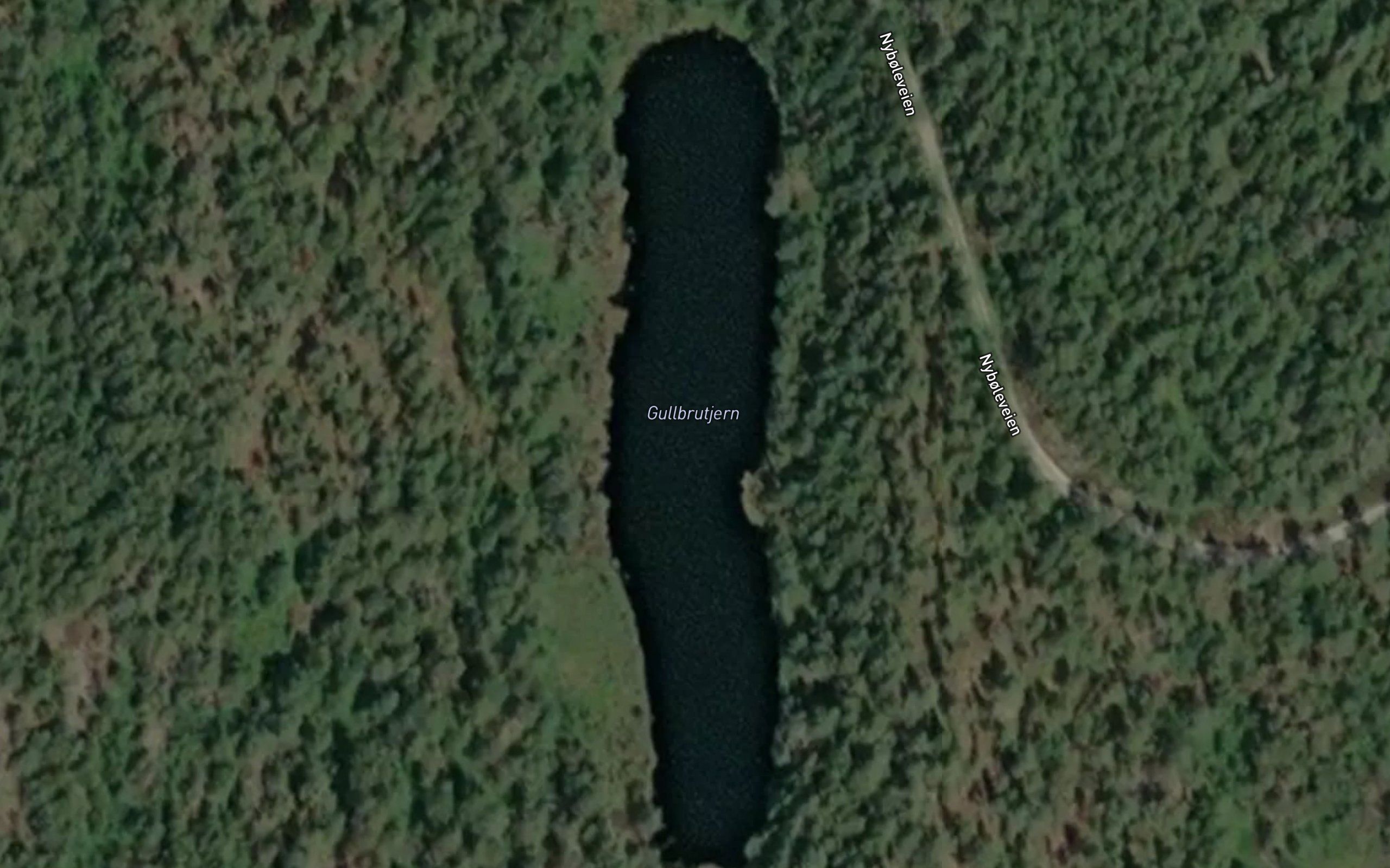 Gullbrutjern