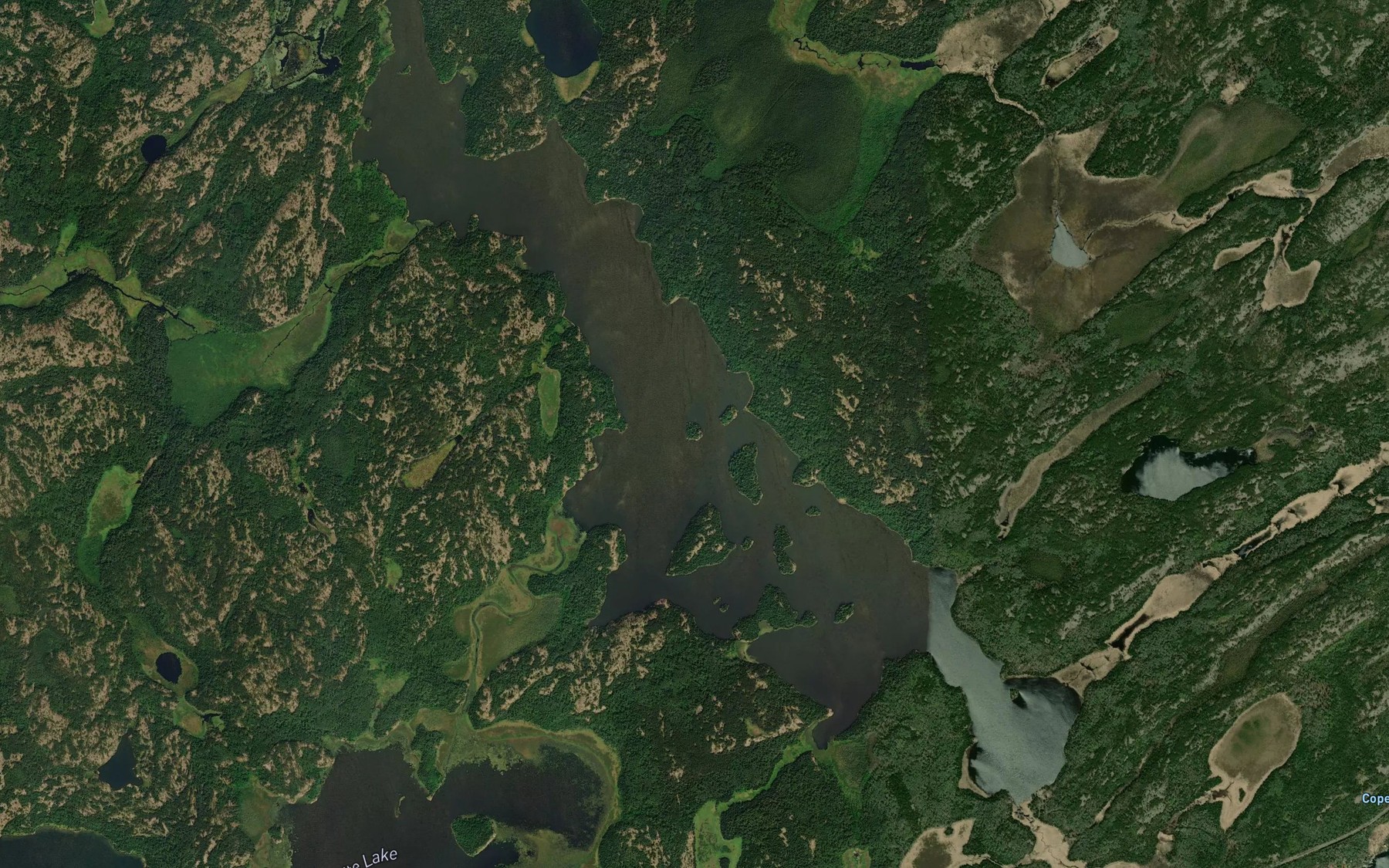 Satellite map of the South Scot Lake