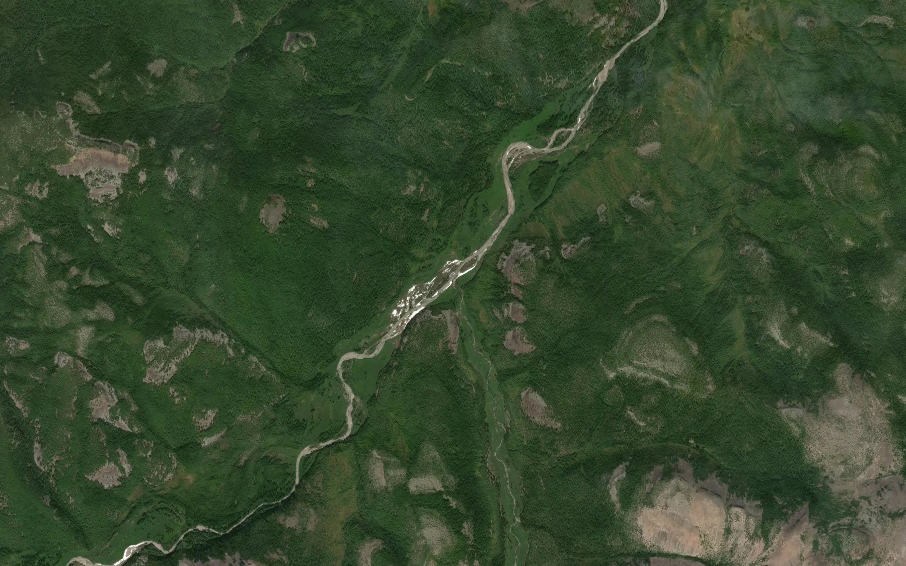Satellite map of the Vetvistyy