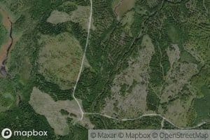 South Branch Palmer Stream