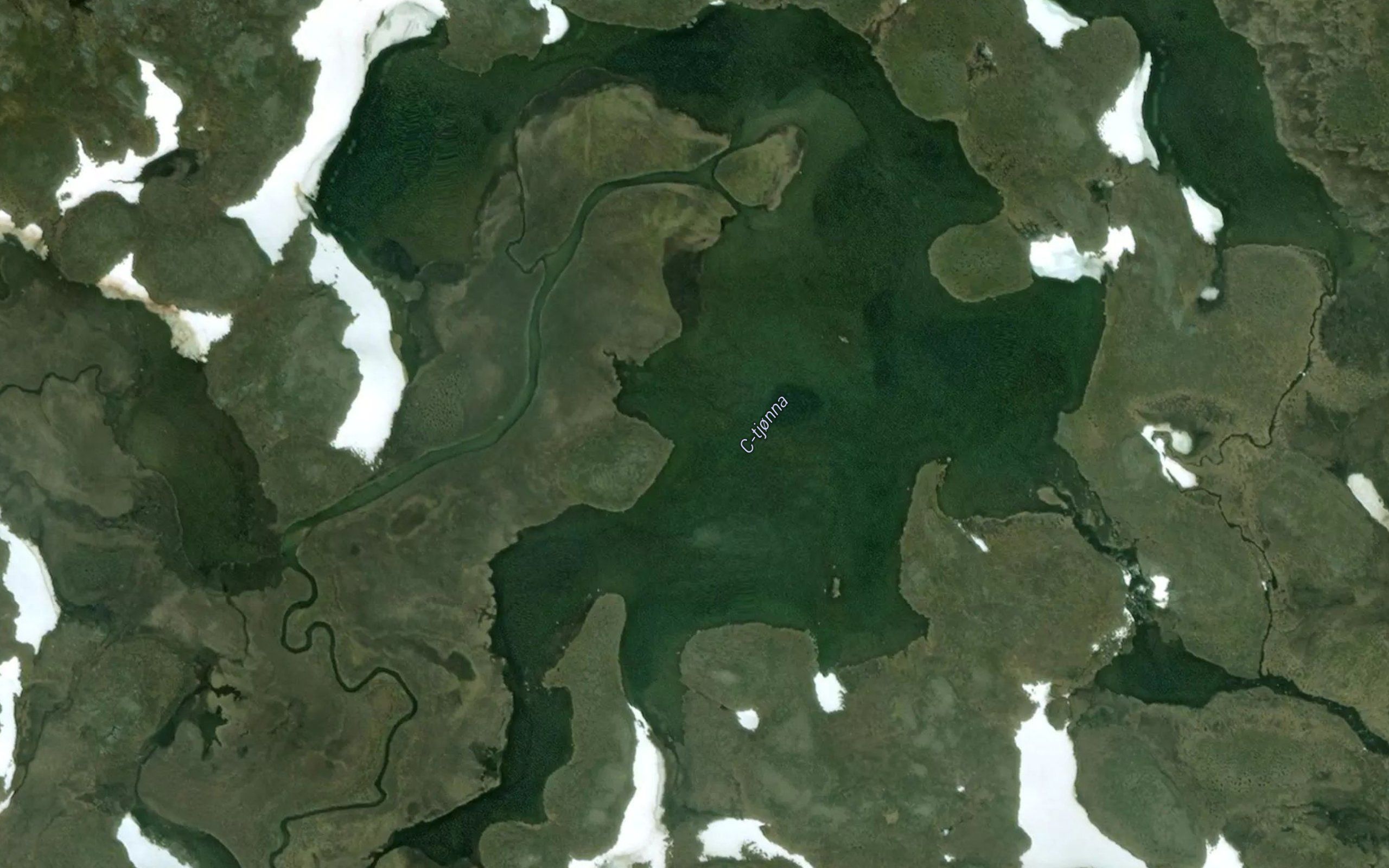 C-tjorna