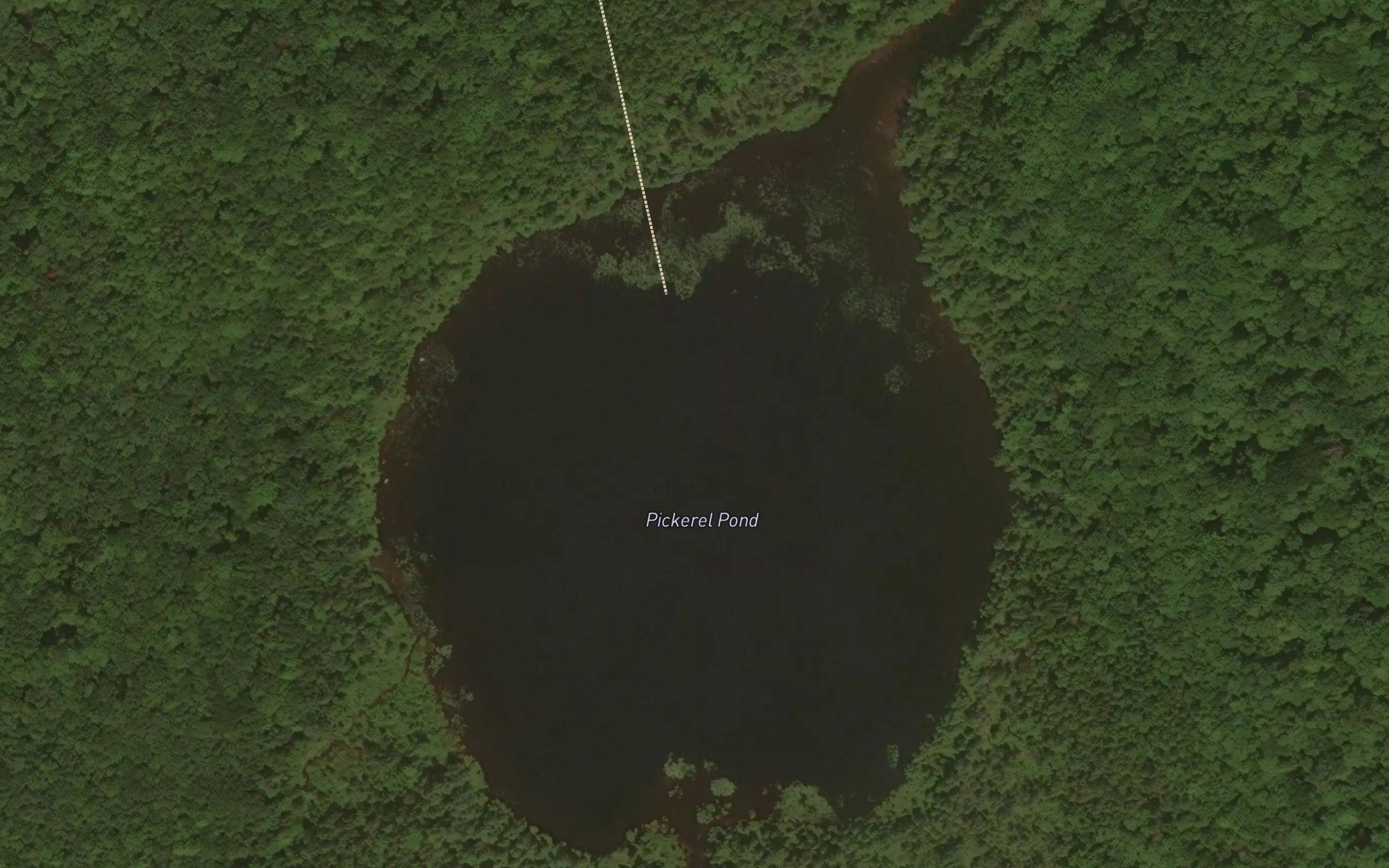 Pickerel Pond