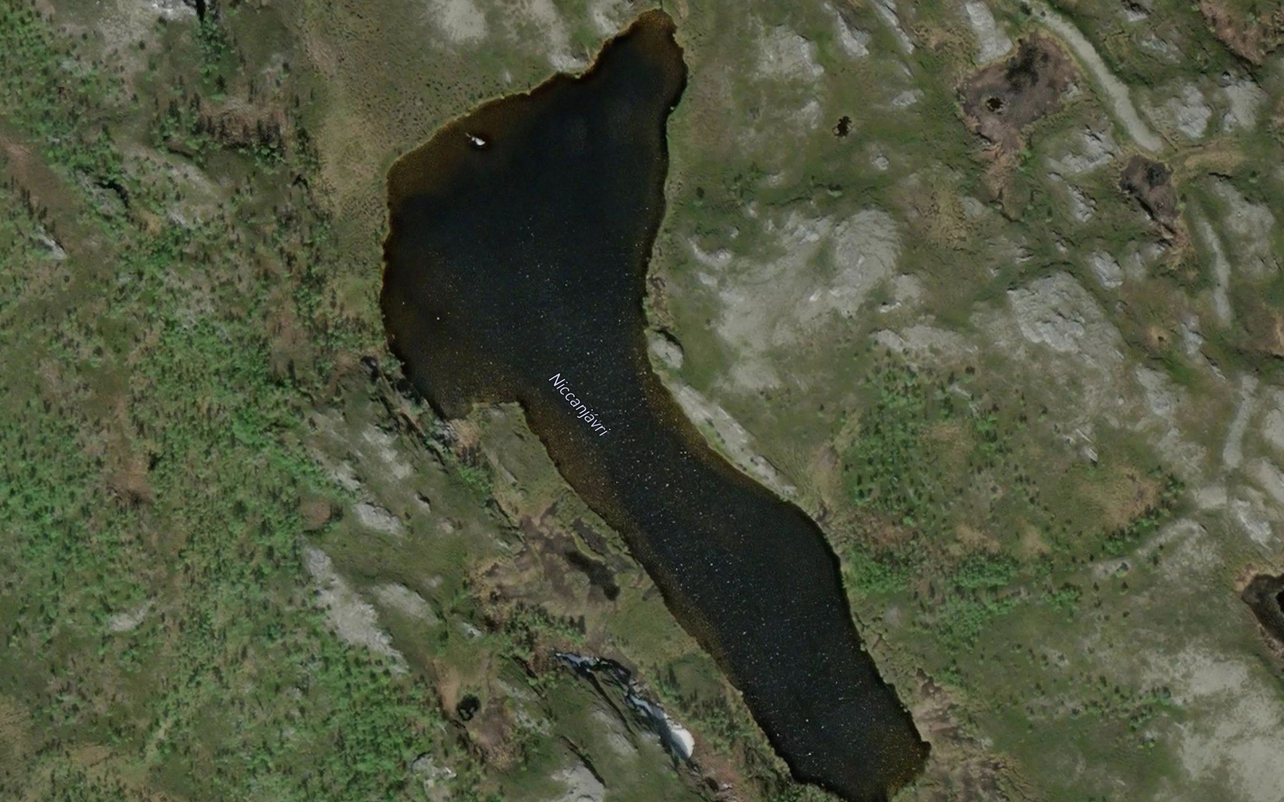 Niccanjavri