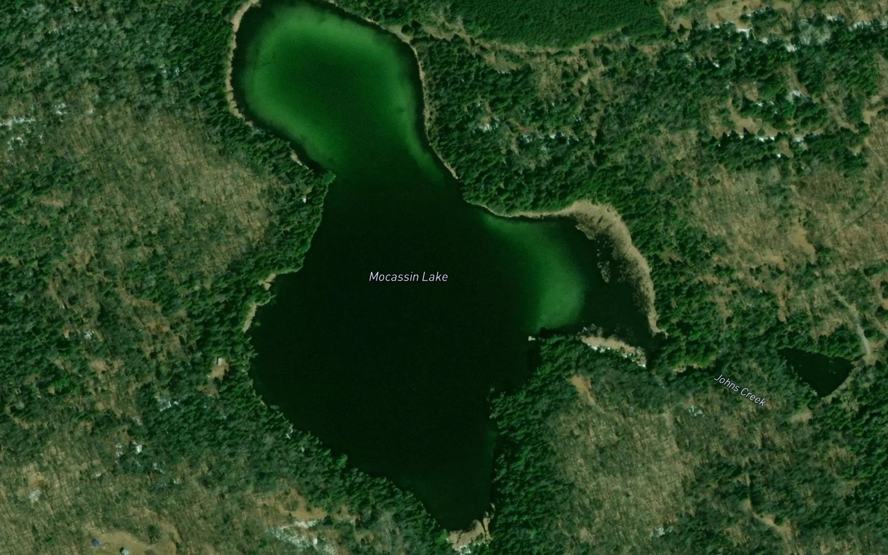 Satellite map of the Mocassin Lake